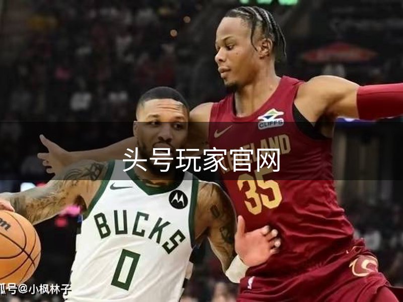 网站概况